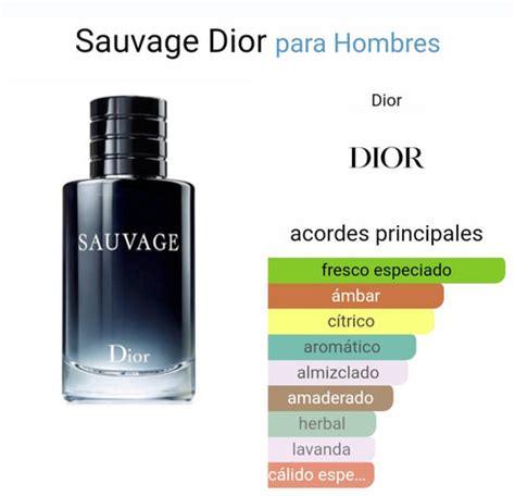 equivalente sauvage dior|sauvage dior precio.